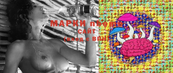 ГАЛЛЮЦИНОГЕННЫЕ ГРИБЫ Абдулино