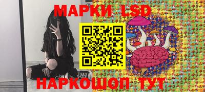 ECSTASY Камышлов