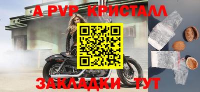 ECSTASY Камышлов