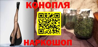 ECSTASY Камышлов