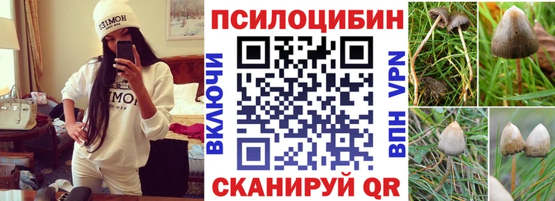 закладка  Саратов  Галлюциногенные грибы MAGIC MUSHROOMS 