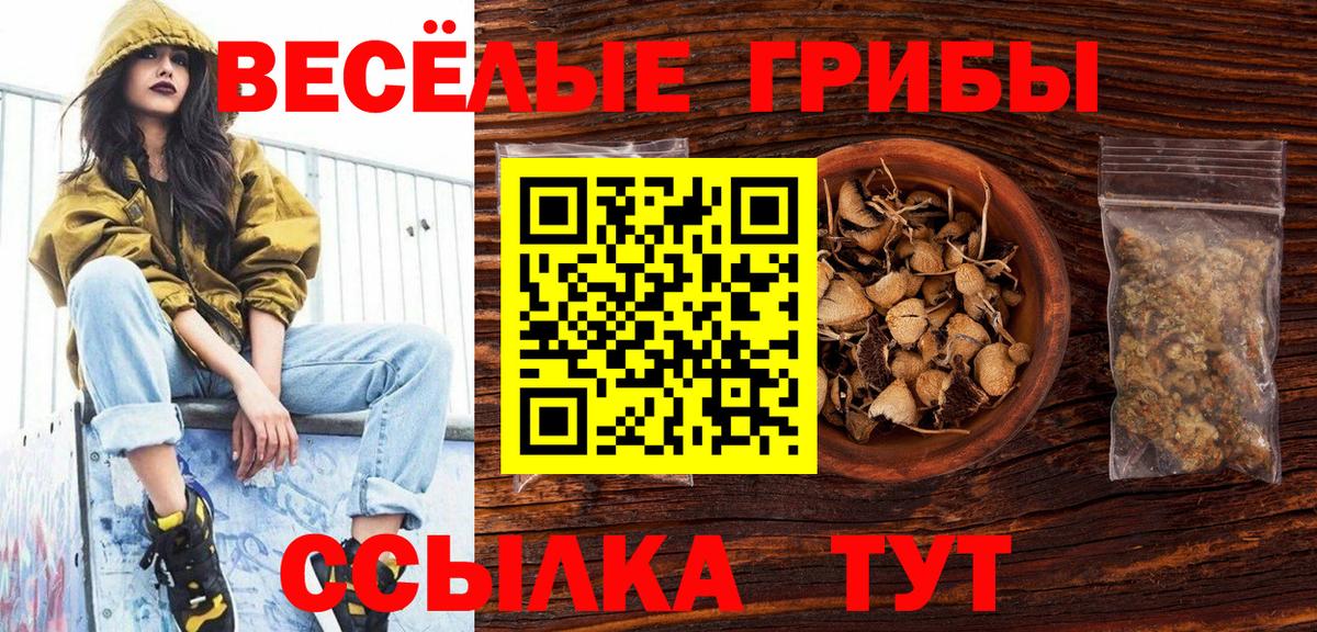 Галлюциногенные грибы Psilocybe Саратов