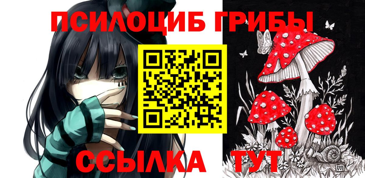 Псилоцибиновые грибы Magic Shrooms  Вход с VPN  Галлюциногенные грибы MAGIC MUSHROOMS  Саратов 