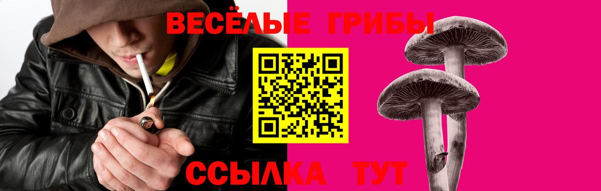 Галлюциногенные грибы ЛСД Саратов