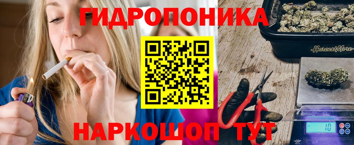 Марихуана Amnesia  Саратов  Канабис план 